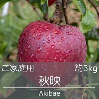 秋映 (あきばえ) ご家庭用 約3kg りんご 農家直送(フルーツ)