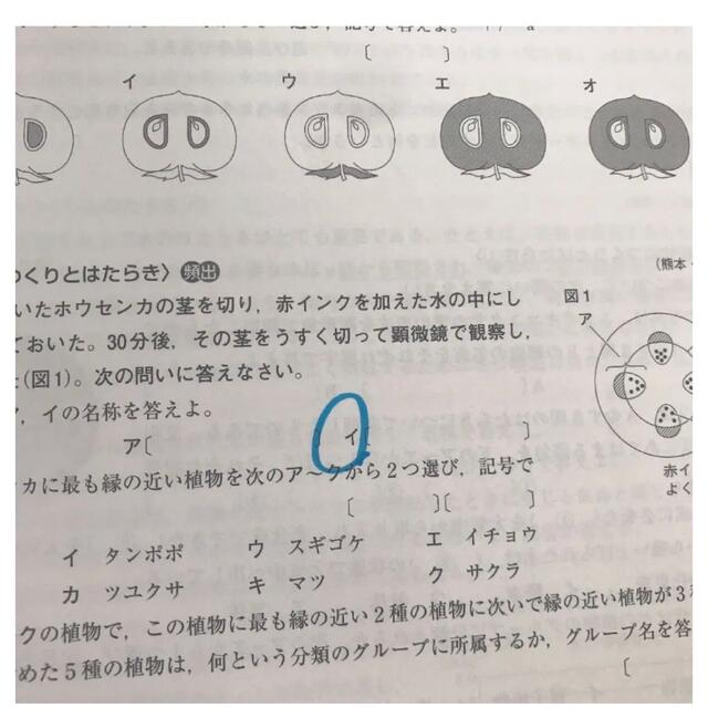 最高水準問題集高校入試理科 おまけ 社会付き エンタメ/ホビーの本(語学/参考書)の商品写真