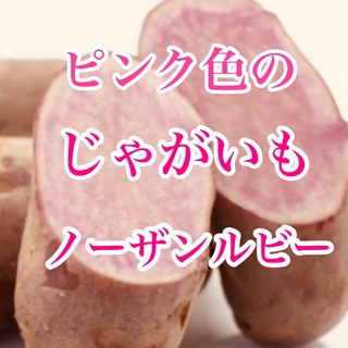 ピンク色のじゃがいも！北海道産　ノーザンルビー　箱込み 1.5キロ(野菜)