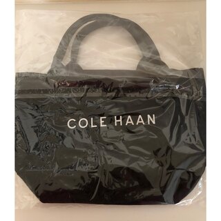 コールハーン(Cole Haan)のコールハーンのミニトートバッグ(トートバッグ)