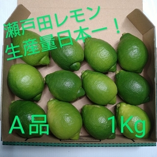 瀬戸田 レモン A品 1Kg 広島県 瀬戸内 国産 グリーンレモン(フルーツ)