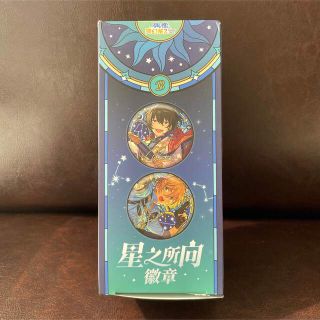 あんスタ 中国限定 星之所向 缶バッジ　B BOX(バッジ/ピンバッジ)