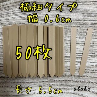 ベージュ　50枚 多肉植物 アガベ サボテンに◎ 園芸用 ラベル ネームラベル(その他)