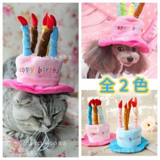 【ブルー】猫犬 誕生日 プレゼント 子供 帽子 ケーキ ロウソク ぬいぐるみ(猫)