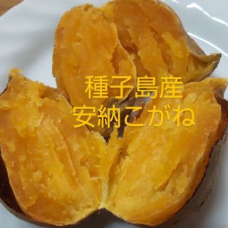 種子島産　安納こがね　　　　　　　　Sサイズ10キロ(野菜)