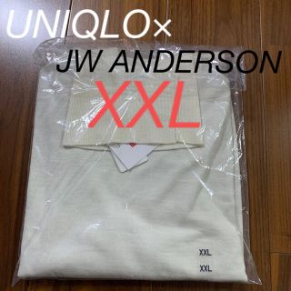 ユニクロ(UNIQLO)のユニクロjwandersonエクストラファインメリノタートルネックセーターXXL(ニット/セーター)