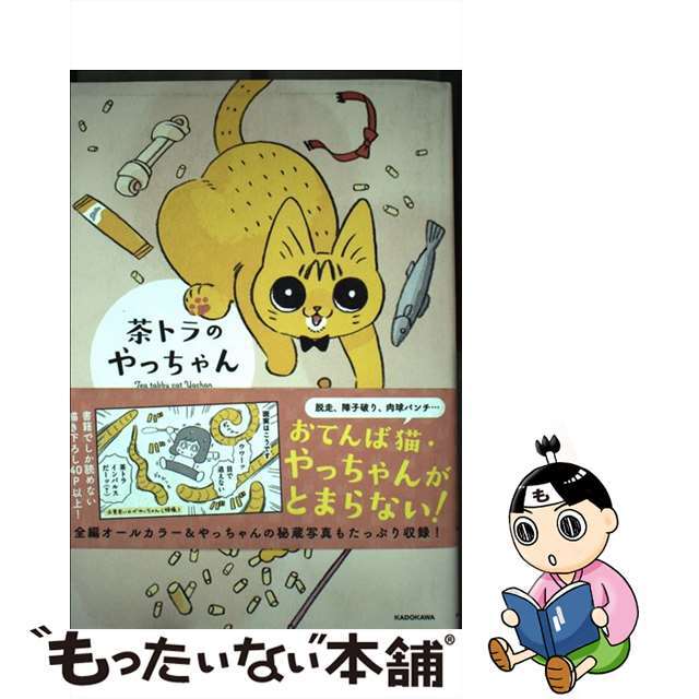 【中古】 茶トラのやっちゃん/KADOKAWA/類 エンタメ/ホビーの本(文学/小説)の商品写真
