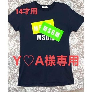 ポロラルフローレン(POLO RALPH LAUREN)のMSGM  ロゴ　Tシャツ　紺色　ネイビー  14才用(Tシャツ/カットソー)