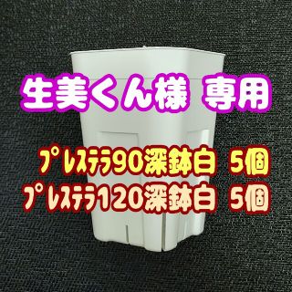 【スリット鉢】プレステラ深鉢90白5個 他 多肉植物 プラ鉢(プランター)