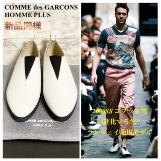 00ss COMME des GARCONS HOMME plus 進化する色