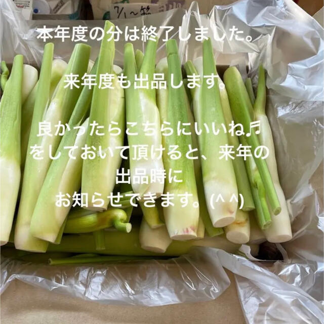 大分県産マコモダケ 令和5年分は終了しました。野菜