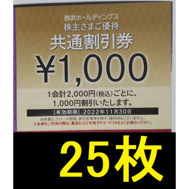 西武ホールディングス　共通割引券　15枚