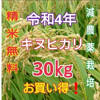 タイムセール❗令和4年度 和歌山県産《新米キヌヒカリ100% 玄米30kg》(米/穀物)