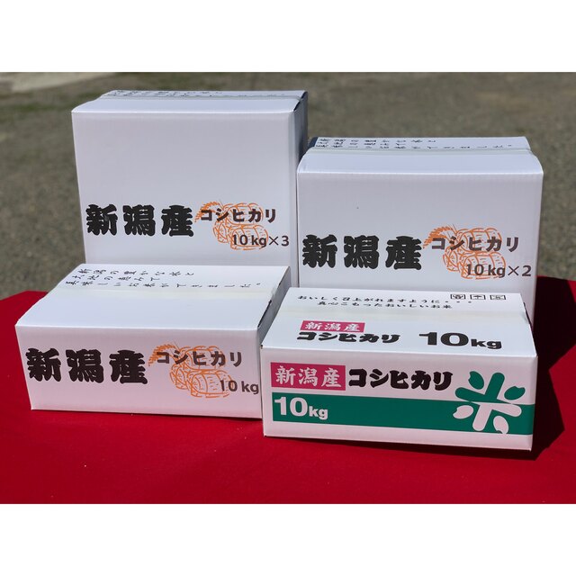 新米・令和4年産　新潟　新之助　白米5kg✖️1個★農家直送★色彩選別済25 食品/飲料/酒の食品(米/穀物)の商品写真