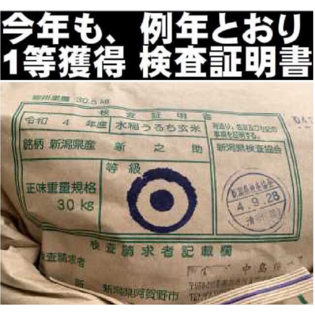 新米・令和4年産　新潟　新之助　白米5kg✖️1個★農家直送★色彩選別済25 食品/飲料/酒の食品(米/穀物)の商品写真