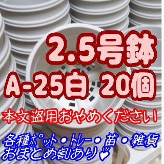 プラ鉢2.5号鉢【A-25】20個 スリット鉢 丸 プレステラ 多肉植物(プランター)