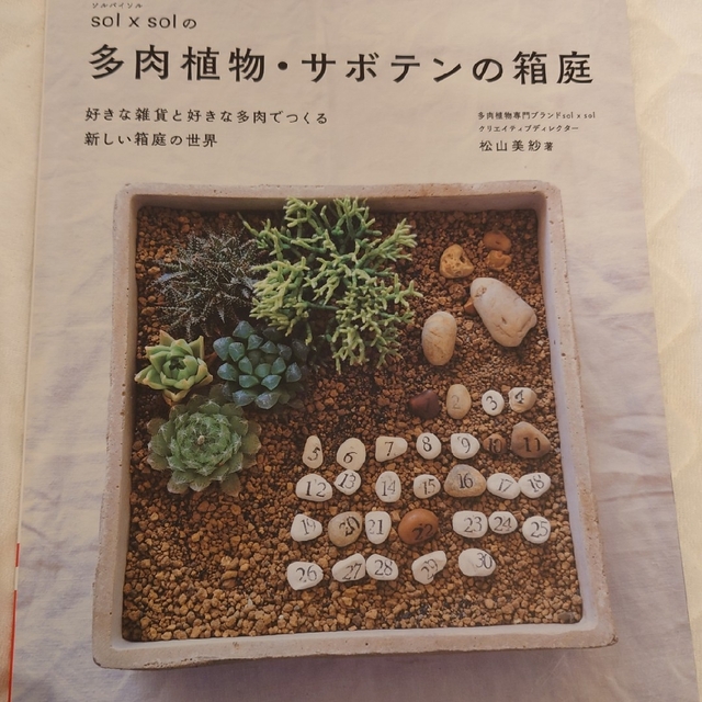 ｓｏｌ×ｓｏｌの多肉植物・サボテンの箱庭 好きな雑貨と好きな多肉でつくる新しい箱 エンタメ/ホビーの本(趣味/スポーツ/実用)の商品写真