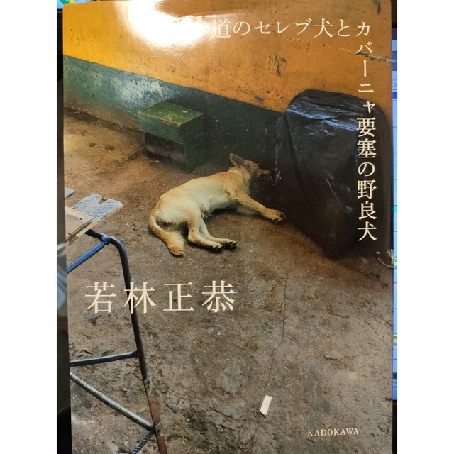 表参道のセレブ犬とカバーニャ要塞の野良犬 エンタメ/ホビーの本(アート/エンタメ)の商品写真
