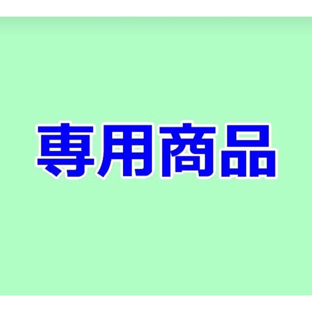 専用商品ですその他