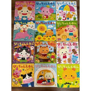 ぴこちゃん絵本　半年分　6冊セット(絵本/児童書)