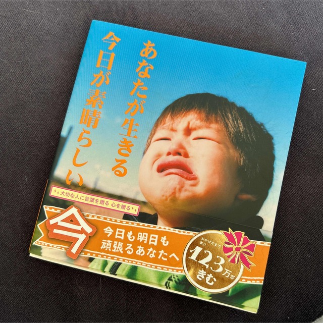 あなたが生きる今日が素晴らしい 愛蔵版 エンタメ/ホビーの本(その他)の商品写真