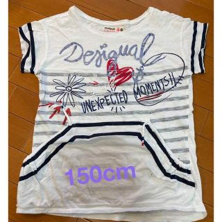 デシグアル(DESIGUAL)の【150】Desigual ガールズ　Tシャツ　カットソー(Tシャツ/カットソー)