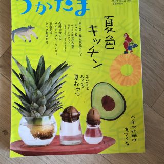 うかたま 2019年 07月号(生活/健康)