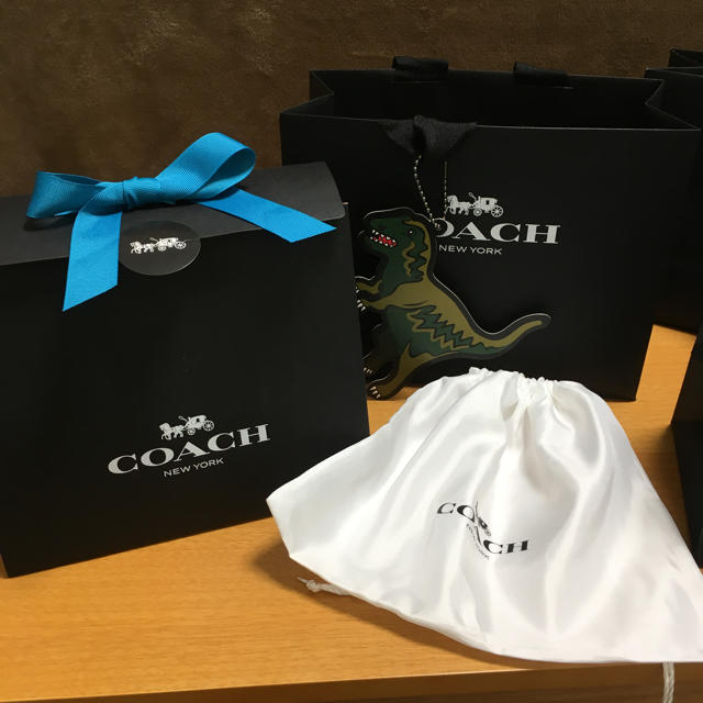 COACH(コーチ)のコーチ箱袋 青 レディースのバッグ(ショップ袋)の商品写真