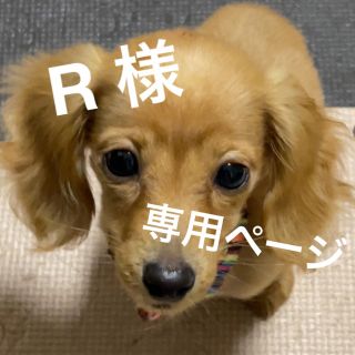 素材を生かした　やわらか　砂肝　5袋セット　ペット　犬　おやつ　やわらか砂肝(ペットフード)