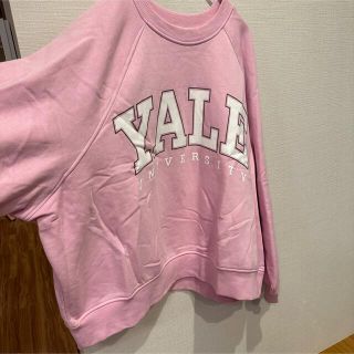 新品 H beauty\u0026youth スウェット ピンク 定価2万 L メンズ