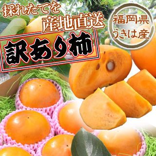 【訳あり！お買い得！】福岡県産　富有柿の訳ありご自宅用　９玉～１２玉(フルーツ)