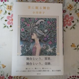 掌に眠る舞台(文学/小説)