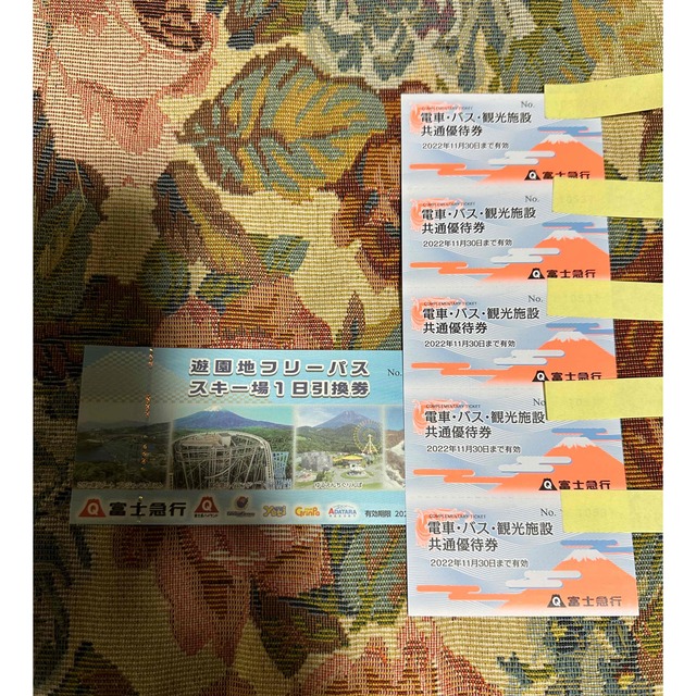 富士急ハイランド フリーパス 2名分-villanueva-lab.com