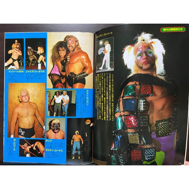 ジャンボシール付き これぞプロレスワンダーランド!! プロレスアルバムNo.51