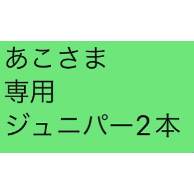 あこさま 専用 ジュニパー2本