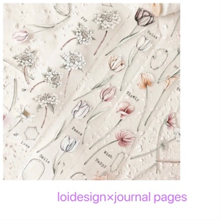 台湾マステ　Journal Pages × Loidesign PET 1ループ(テープ/マスキングテープ)