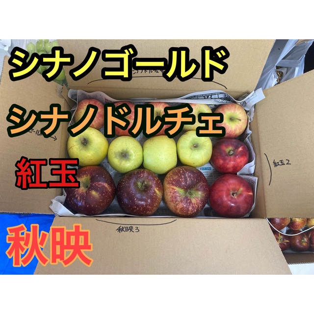 信州リンゴ食べ比べ　訳あり品約４kg〜 食品/飲料/酒の食品(フルーツ)の商品写真