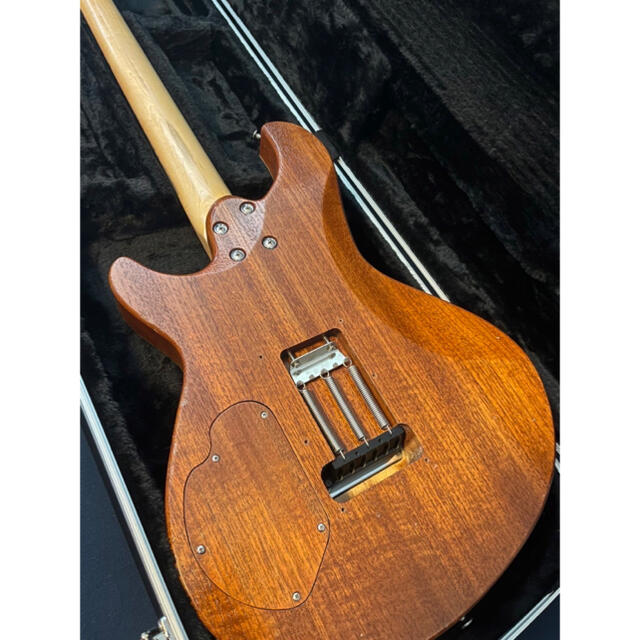 Nishgaki Guitars Amnis Novus 楽器のギター(エレキギター)の商品写真