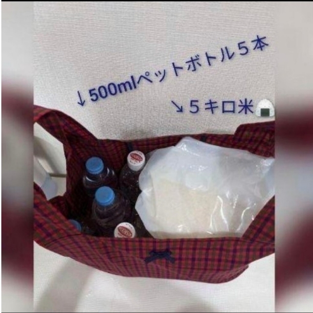 カエル様専エコバック　ハンドメイド　コンビニバッグ　畳めるエコバック　レジバッグ レディースのバッグ(エコバッグ)の商品写真