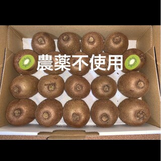 ⑦【農薬不使用・要追熟】グリーンキウイ　キウイフルーツ 19個(フルーツ)