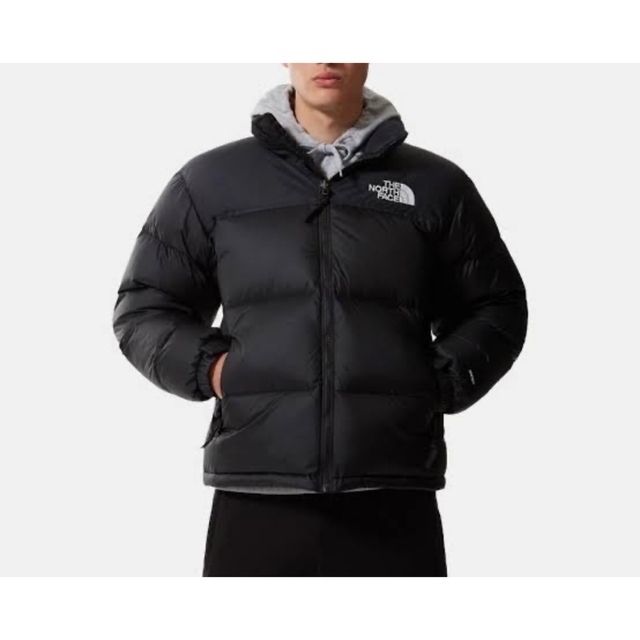 THE NORTH FACE(ザノースフェイス)の1996 retro nuptse 700fill  ヌプシ700 US企画 L メンズのジャケット/アウター(ダウンジャケット)の商品写真