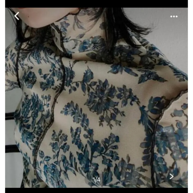 mame(マメ)のlitmus lutens sheer skin tops シアートップス レディースのトップス(カットソー(長袖/七分))の商品写真