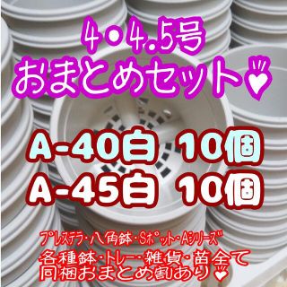 プラ鉢20個おまとめセット♪【A-40・A-45 各10個】プレステラ 多肉植物(プランター)