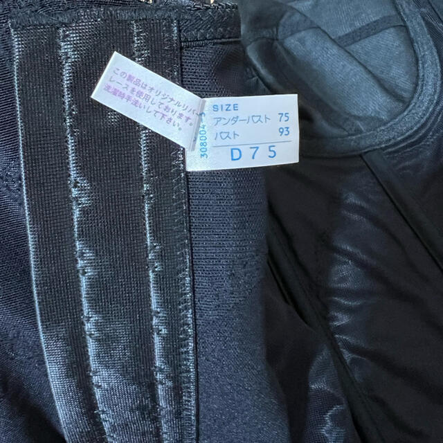 シャンデール ボディースーツ ブラック D75 レディースの下着/アンダーウェア(ブラ)の商品写真