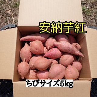 安納芋紅ちびサイズ5kg(種子島産)(野菜)