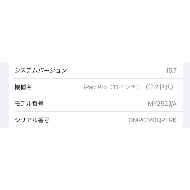 人気提案 iPad - iPad Pro・11インチ・第2世代・128GB ・Wi-Fiモデル