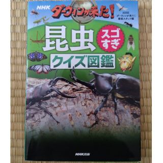 ＮＨＫダーウィンが来た！昆虫スゴすぎクイズ図鑑(アート/エンタメ)