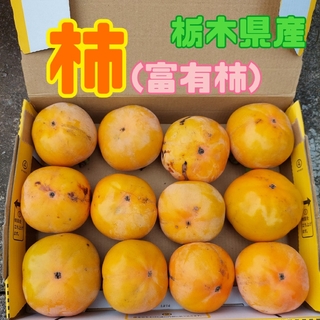 栃木県産　柿　(富有柿)【コンパクトBOX】(フルーツ)