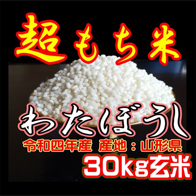 玄米30kg もち米 ふわふわお餅のわたぼうし! 令和4年産 - funespar.org