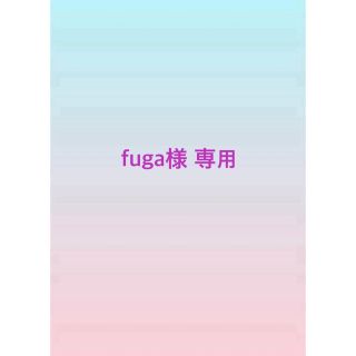 fuga様 専用出品(その他)